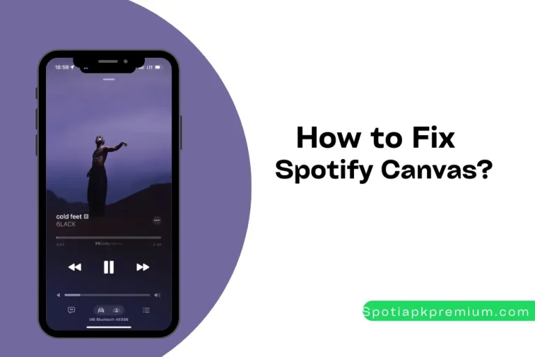 How to Fix Spotify Canvas settings